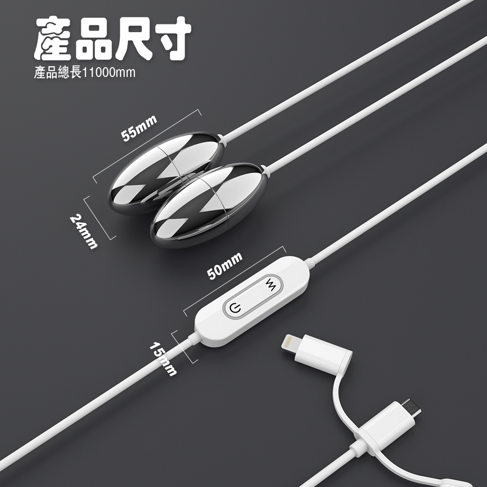 夫妻快樂器成人用具.jpg